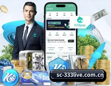 333体育 APP 深度功能