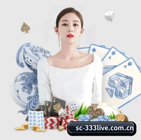 市场拓展 - 业务规模迅速扩张,合作伙伴遍布全球,用户数量突破500万大关。